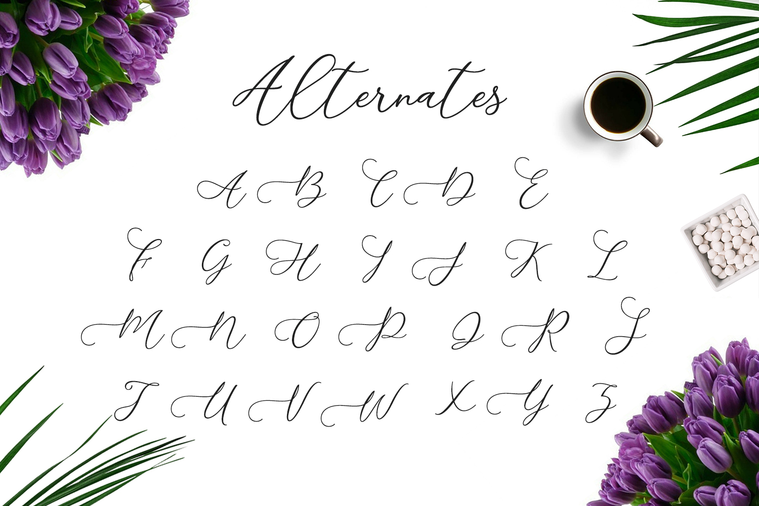 Camomile Script Font - Preview 3