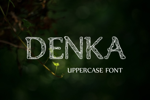 Denka Font - Preview 2