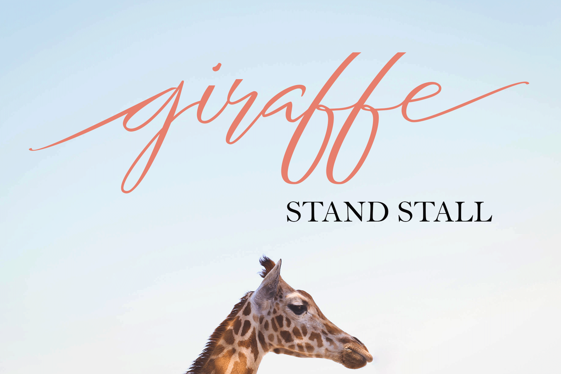 Entopia Font - Preview 3