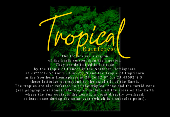 Gasterye Font - Preview 2