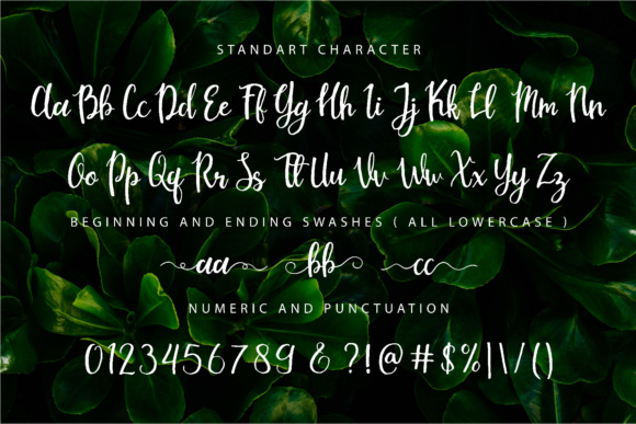 Mouley Font PNG with transparent background - Preview 5