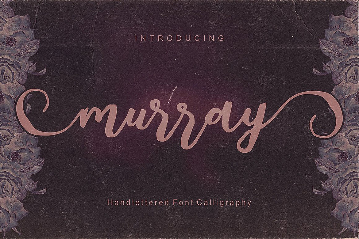Murray Script Font Duo Font PNG with transparent background - Preview 4