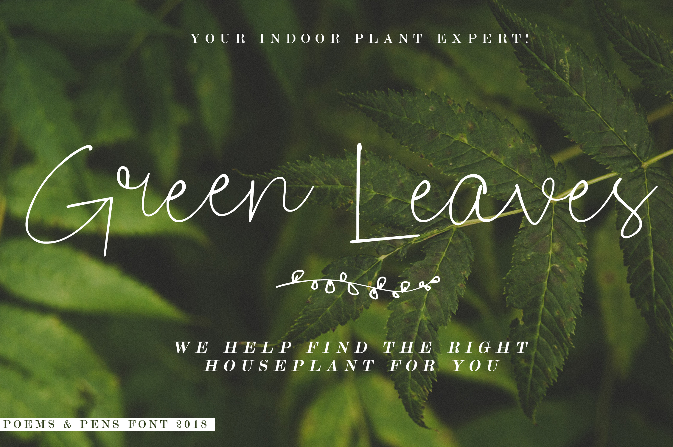 Poems & Pens Font PNG with transparent background - Preview 2
