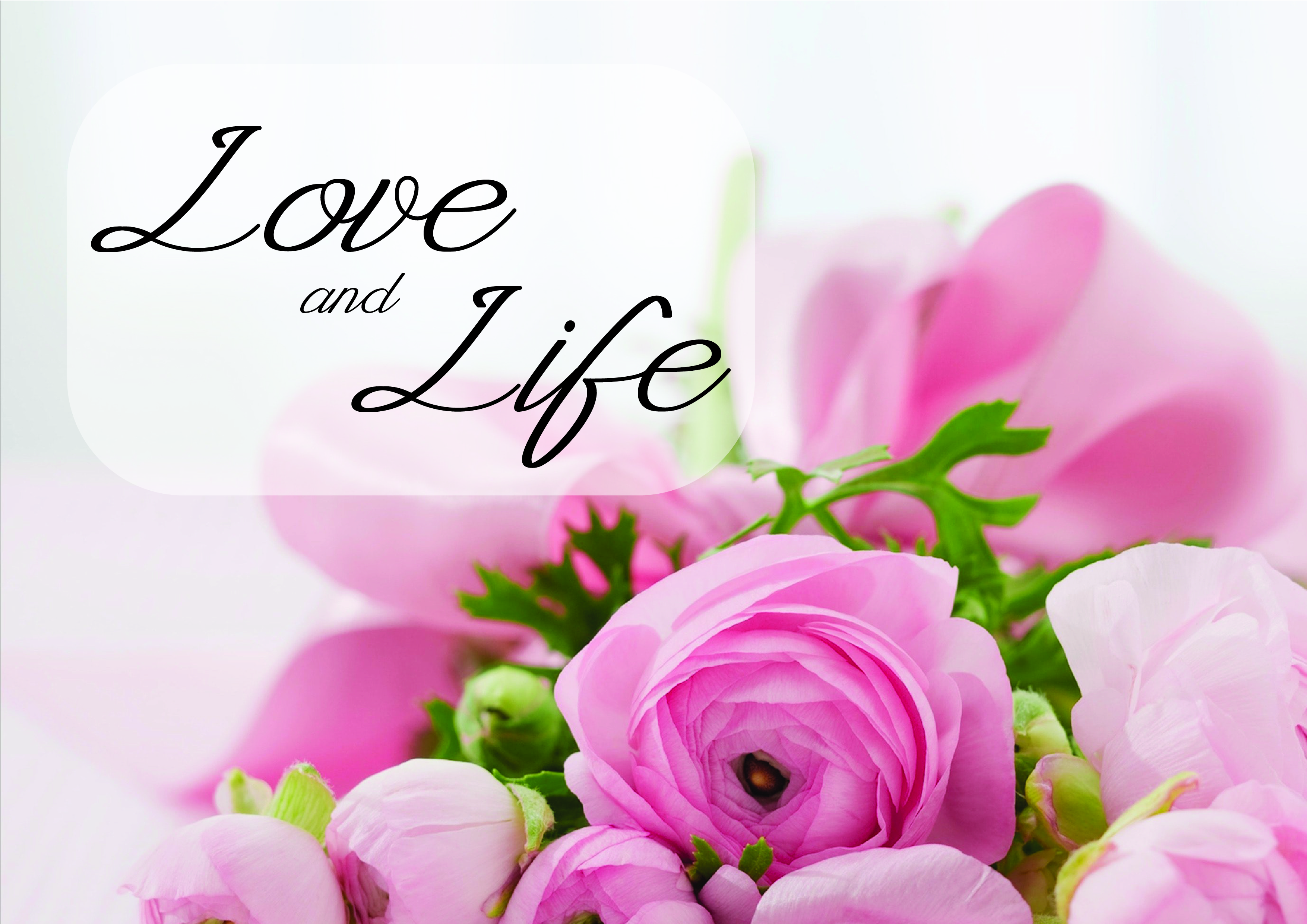 Rabiole Font PNG with transparent background - Preview 2
