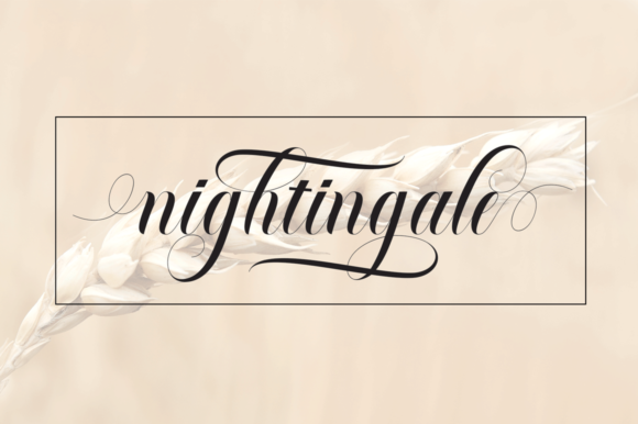Salmages Font PNG with transparent background - Preview 1