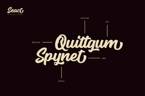 Seact Font PNG with transparent background - Preview 2