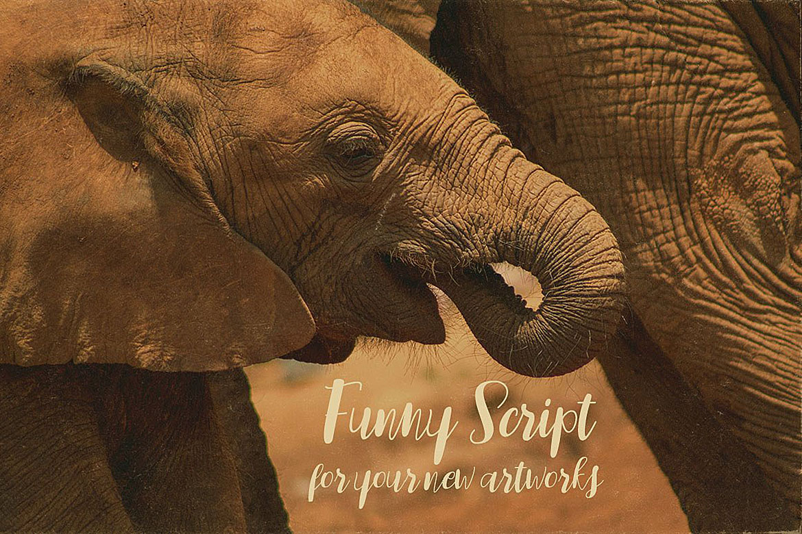 Sidebook Script Font PNG with transparent background - Preview 1