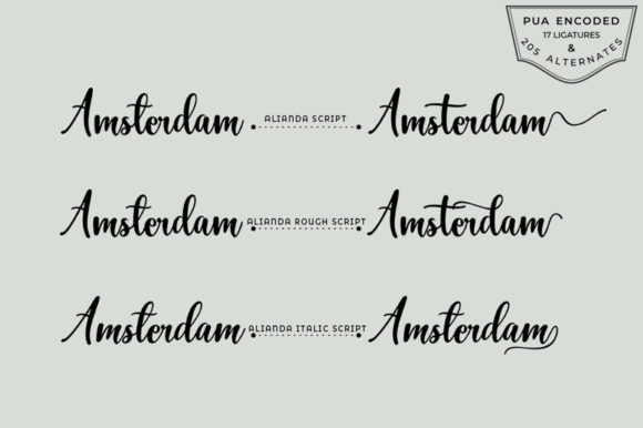 Alianda Script Font - Preview 1