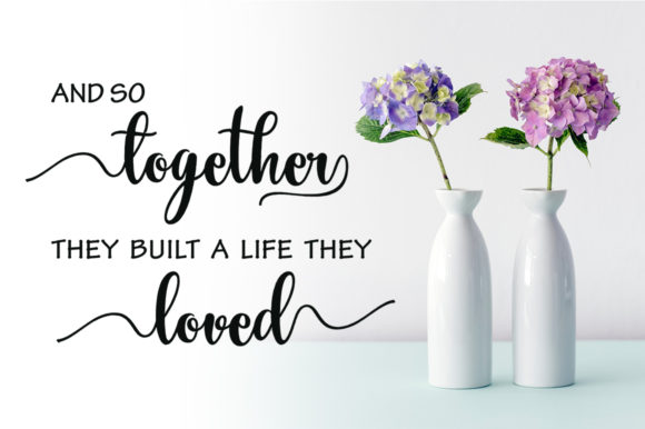 Alianda Script Font - Preview 3