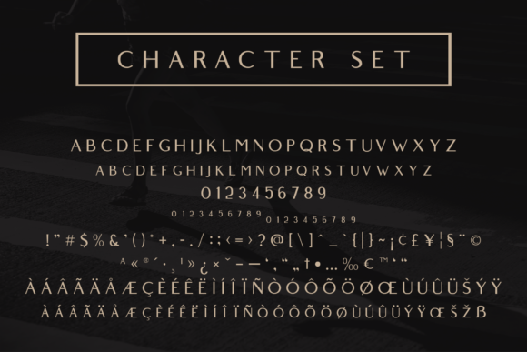 Belgium Family Font - Preview 6