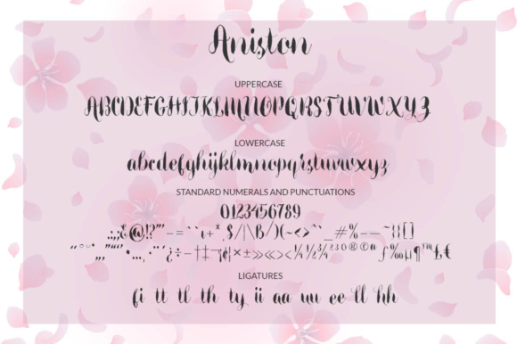 Aniston Font - Preview 6