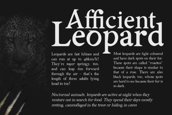 Asmath Font - Preview 1