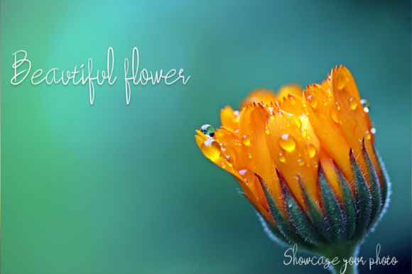 Beauty Forest Font - Preview 3