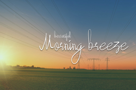 Beauty Forest Font - Preview 4