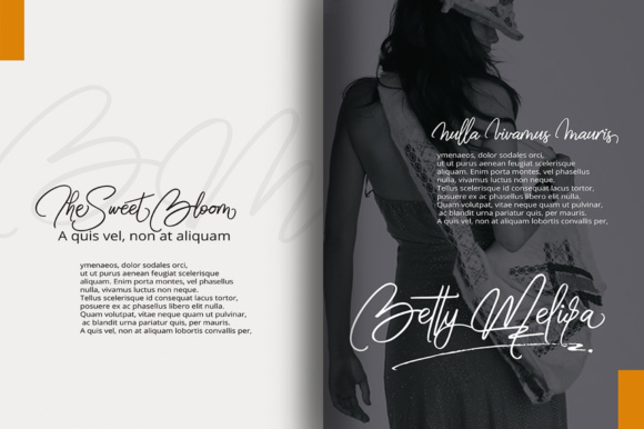 Bella Font - Preview 2