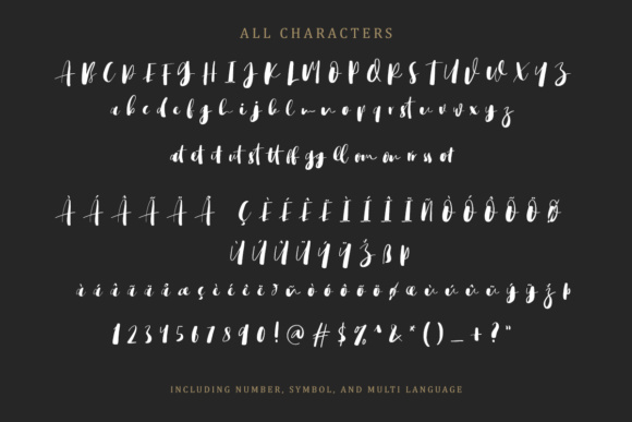 Bigstorm Script Font - Preview 6