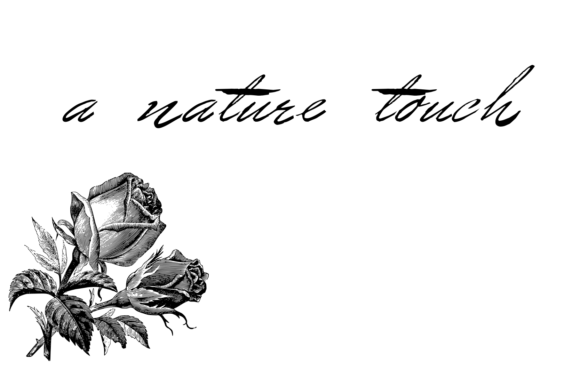Bluelmin Benedict Font PNG with transparent background - Preview 1