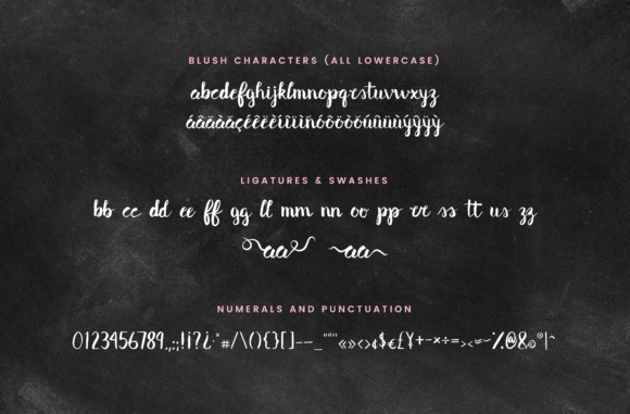 Blush & Bliss Font - Preview 4