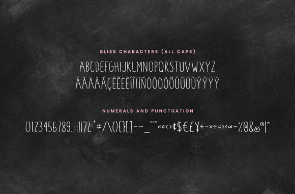 Blush & Bliss Font - Preview 5