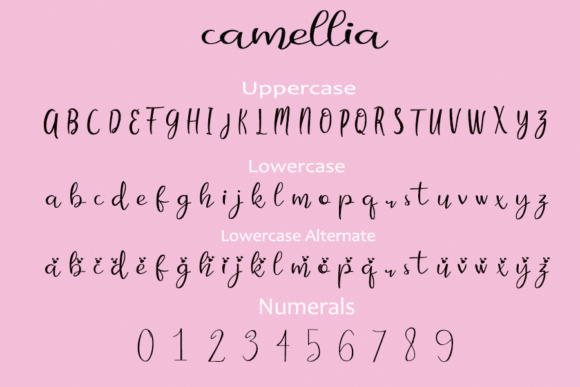 Camellia Font - Preview 1