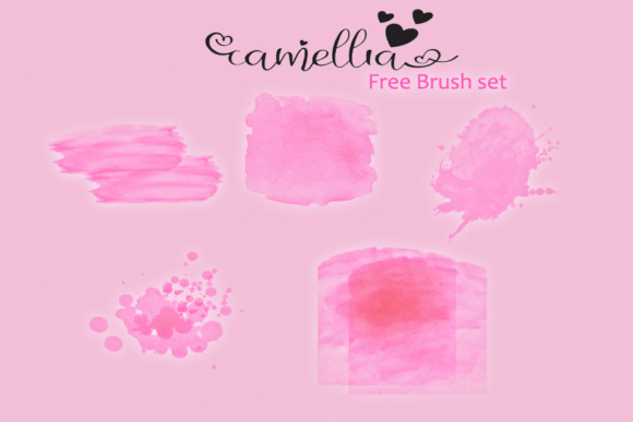 Camellia Font - Preview 4