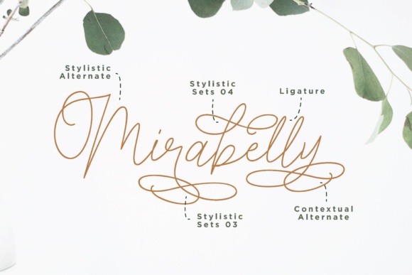 Claire Script Font - Preview 5