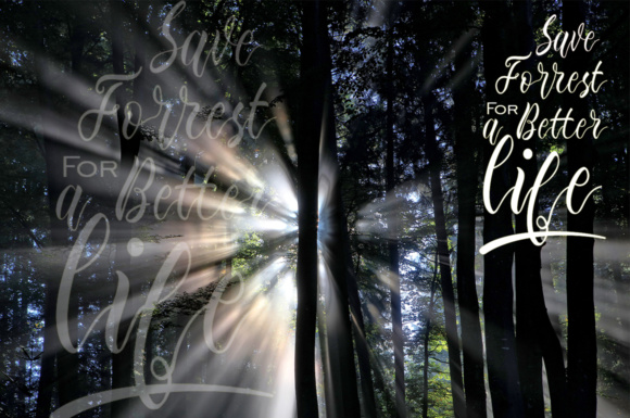 Edelweiss Font - Preview 1