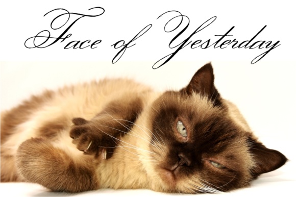 Face of Yesterday Font - Preview 2