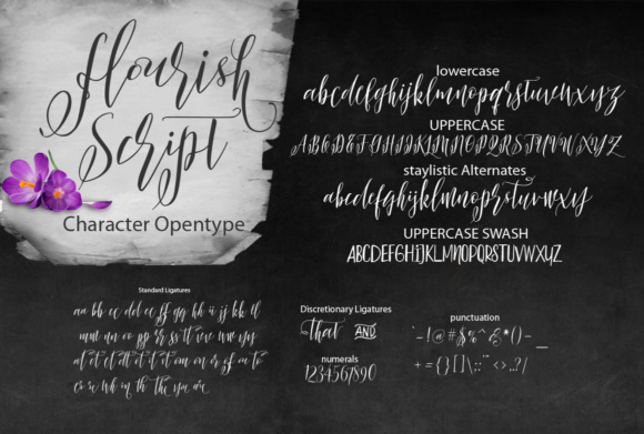 Flourish Font - Preview 1