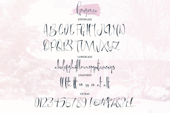 Gorgeous Font - Preview 3