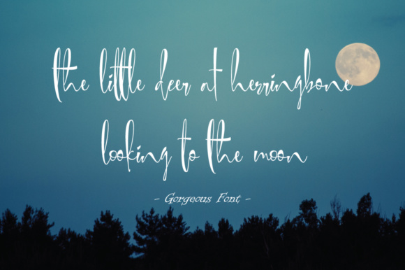 Gorgeous Font - Preview 4