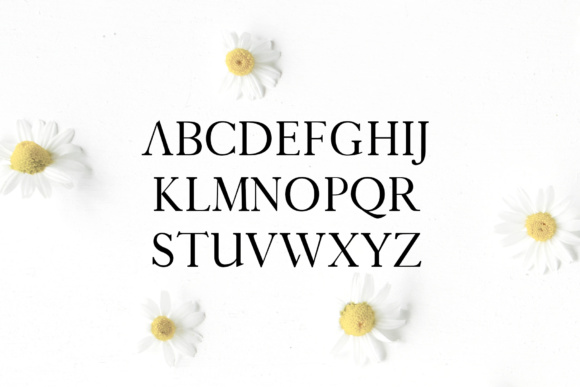 Jotham Font PNG with transparent background - Preview 1