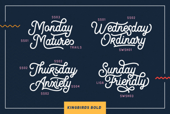 Kingbirds Script Font PNG with transparent background - Preview 2