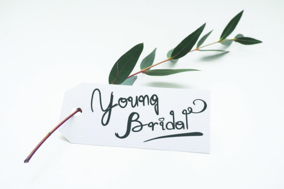 Mary Quincy Font PNG with transparent background - Preview 2