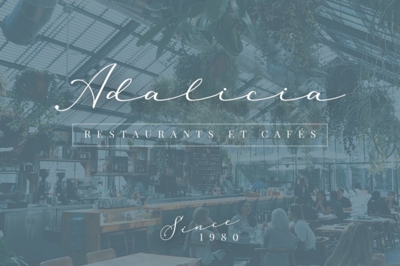 Melania Script Font PNG with transparent background - Preview 4