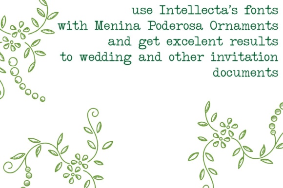 Menina Poderosa Ornaments Font PNG with transparent background - Preview 2