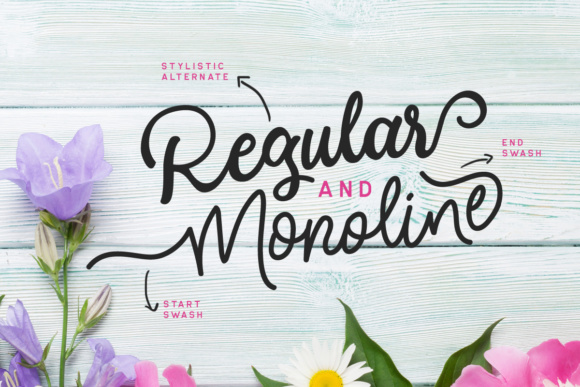 Modesta Script Font PNG with transparent background - Preview 1