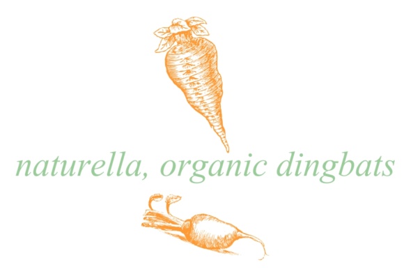 Naturella Font PNG with transparent background - Preview 1