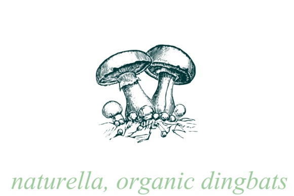 Naturella Font PNG with transparent background - Preview 3