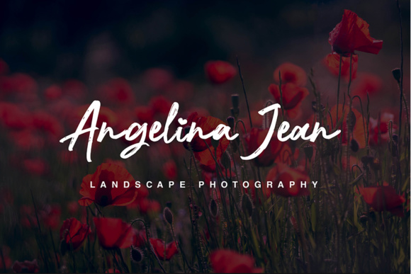 Nocturnal Script Font PNG with transparent background - Preview 1