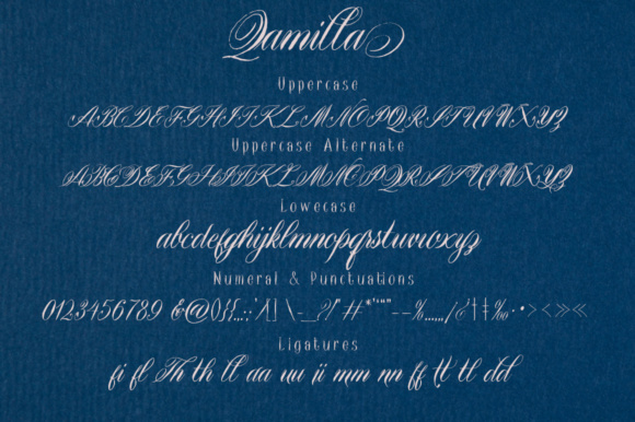 Qamilla Font PNG with transparent background - Preview 3