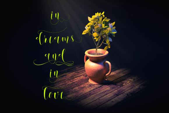 Setangkai Script Font PNG with transparent background - Preview 5
