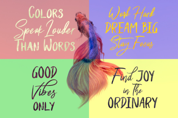 Shutten Reason Font PNG with transparent background - Preview 4