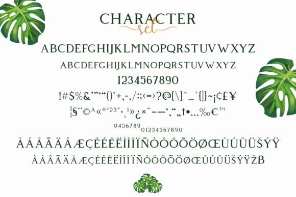 Giveny Font - Preview 6