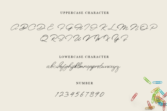 Anaheim Script Font - Preview 1