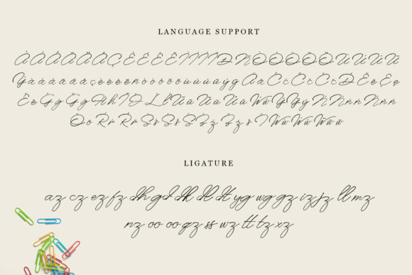 Anaheim Script Font - Preview 2