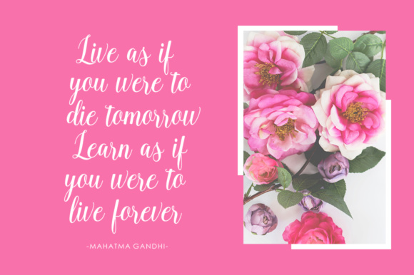 Ballerina Script Font - Preview 6