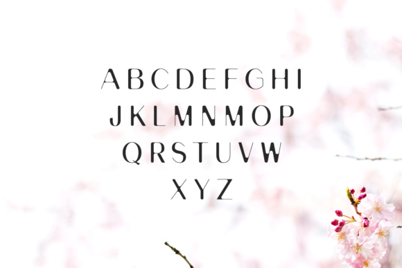Banny Sans Serif Family Font - Preview 1