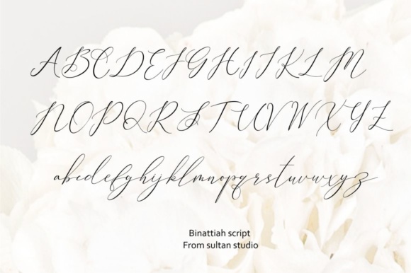 Binattiah Font - Preview 2