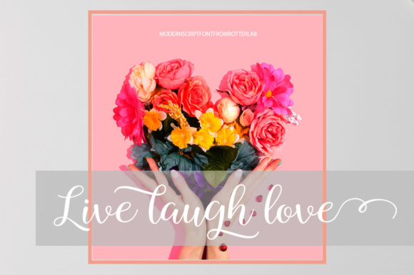 Boshella Script Font - Preview 4